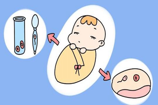 上海试管婴儿的成功率高吗？失败后怎么办？